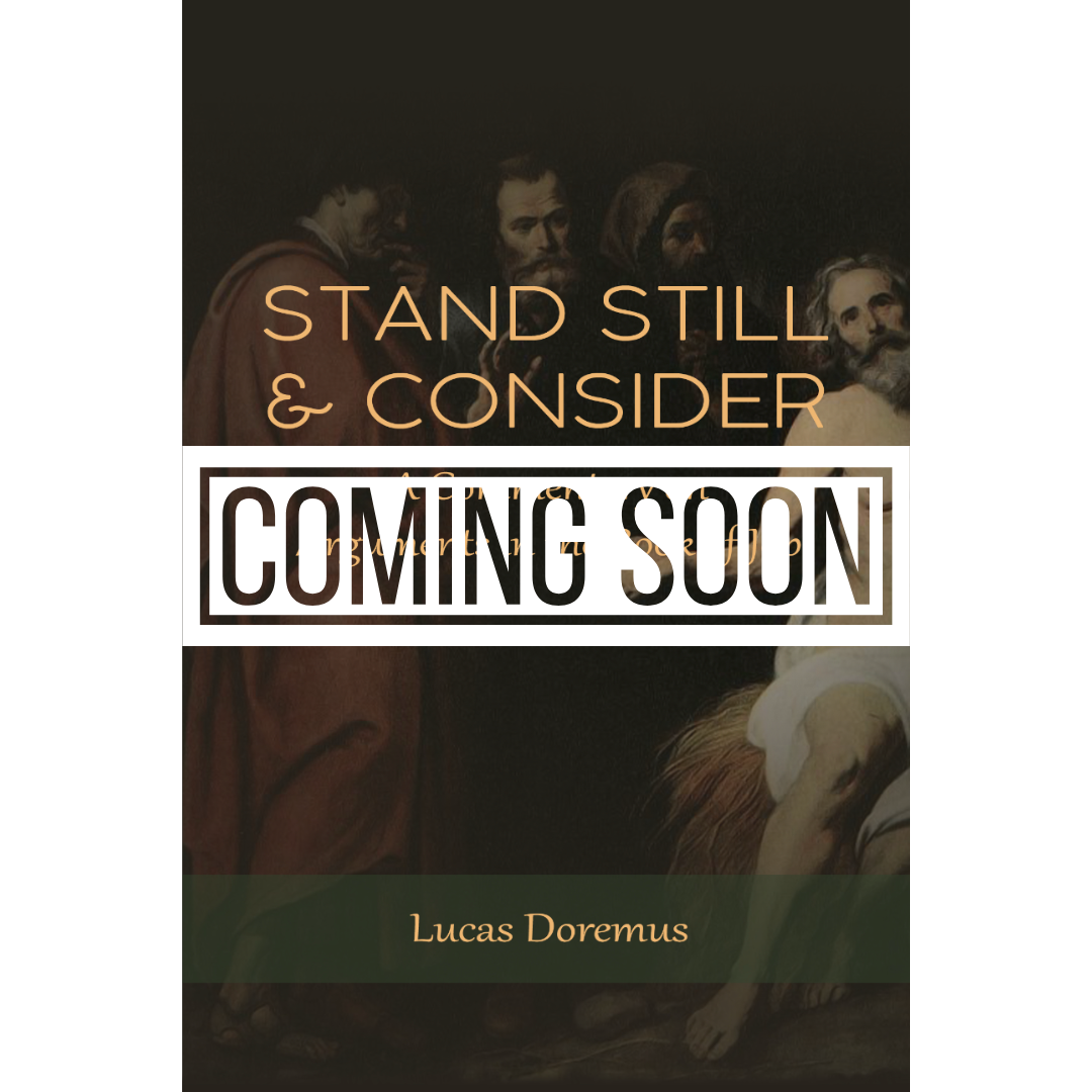 Stand Still and Consider: A Commentary on Arguments in the Book of Job