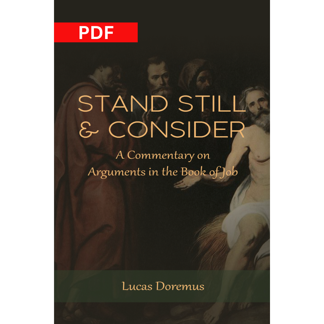 Stand Still and Consider: A Commentary on Arguments in the Book of Job PDF