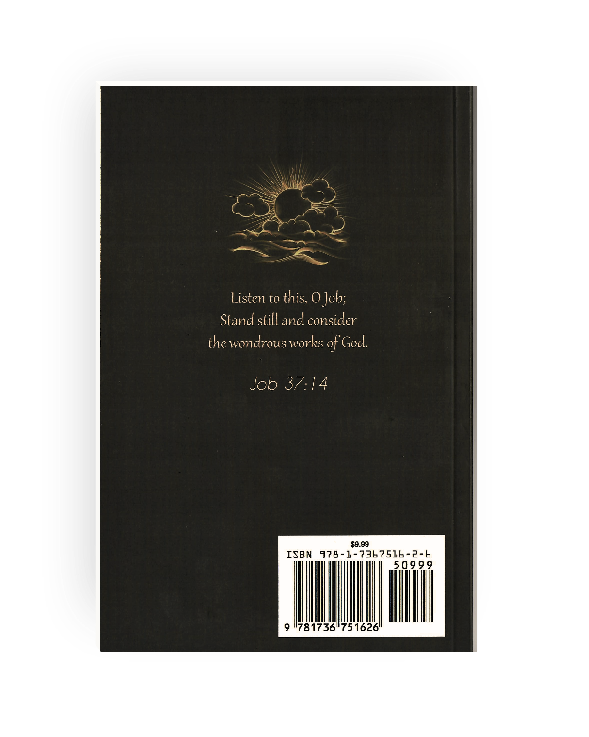 Stand Still and Consider: A Commentary on Arguments in the Book of Job