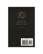 Stand Still and Consider: A Commentary on Arguments in the Book of Job PDF