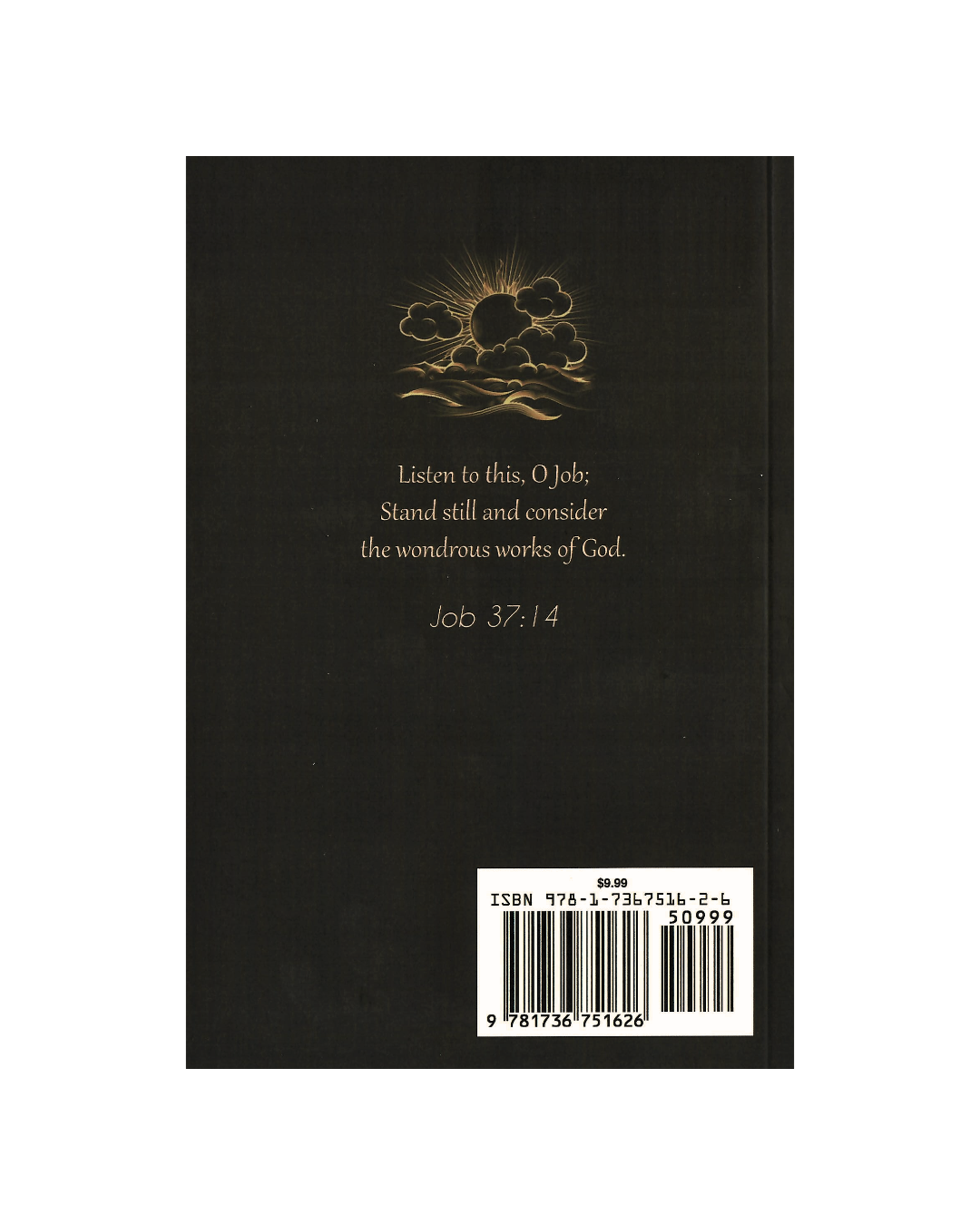 Stand Still and Consider: A Commentary on Arguments in the Book of Job PDF