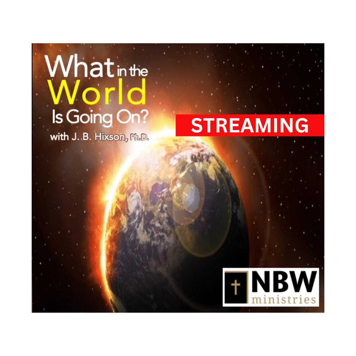 What in the World Is Going On? (Streaming/Digital Download)
