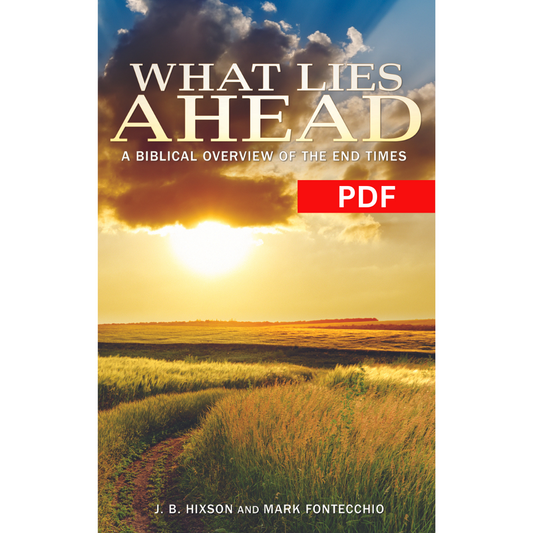 What Lies Ahead PDF