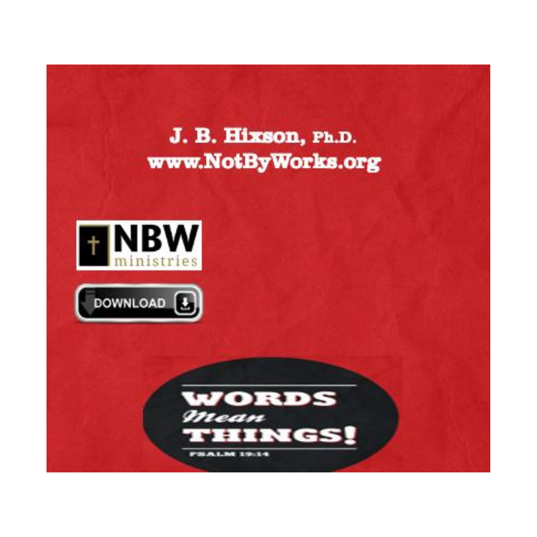 Words Mean Things VIDEO STREAMING